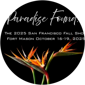 The 2025 San Francisco Fall Show Paradise Found