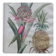 set of 4 european hand-colored pineapple engravings