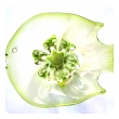 a playful murano mid-century acid-green art glass bowl of a fish